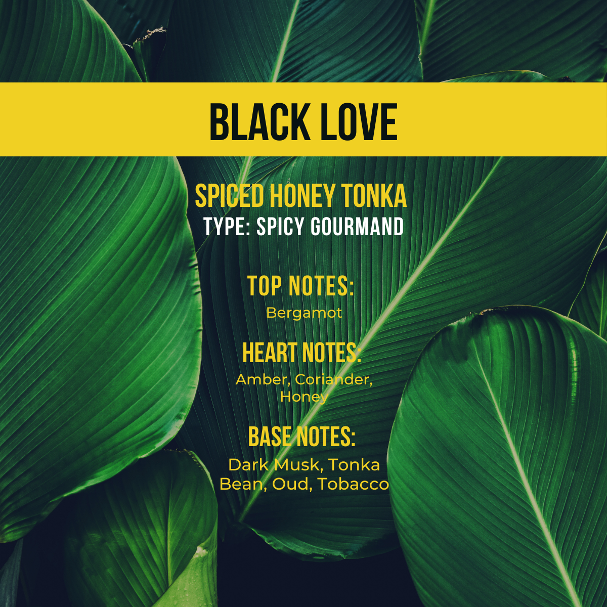 BLACK LOVE GLAZE DRY BODY OIL | Spiced Honey Tonka | 8 oz.