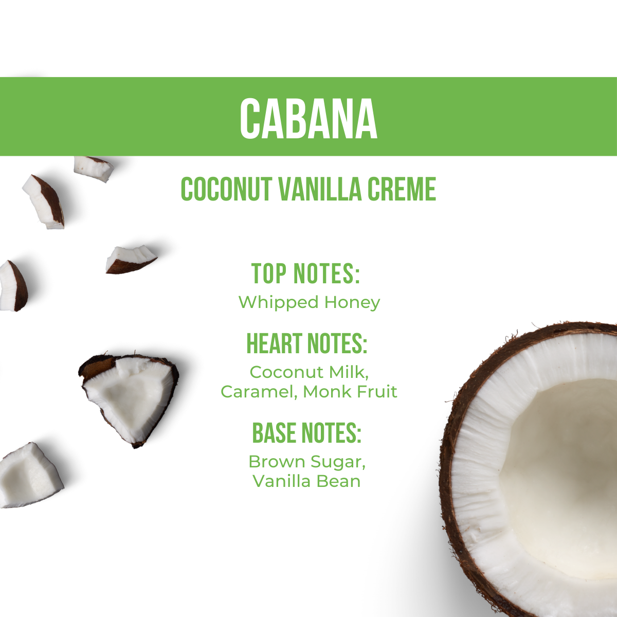 Vault Holiday Preview: GLAZE Mini 10-Pack