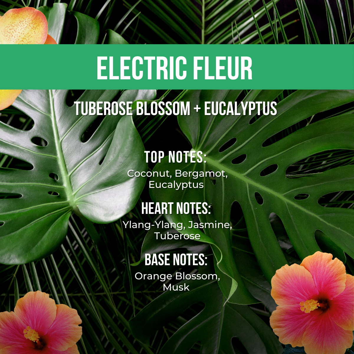 Vault Holiday Preview: GLAZE Mini 10-Pack