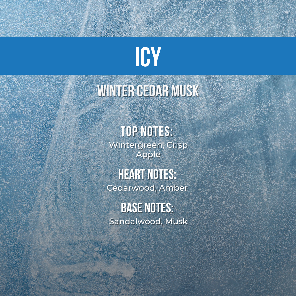 2026 Vault Glaze Dry Body Oil | Fresh & Floral