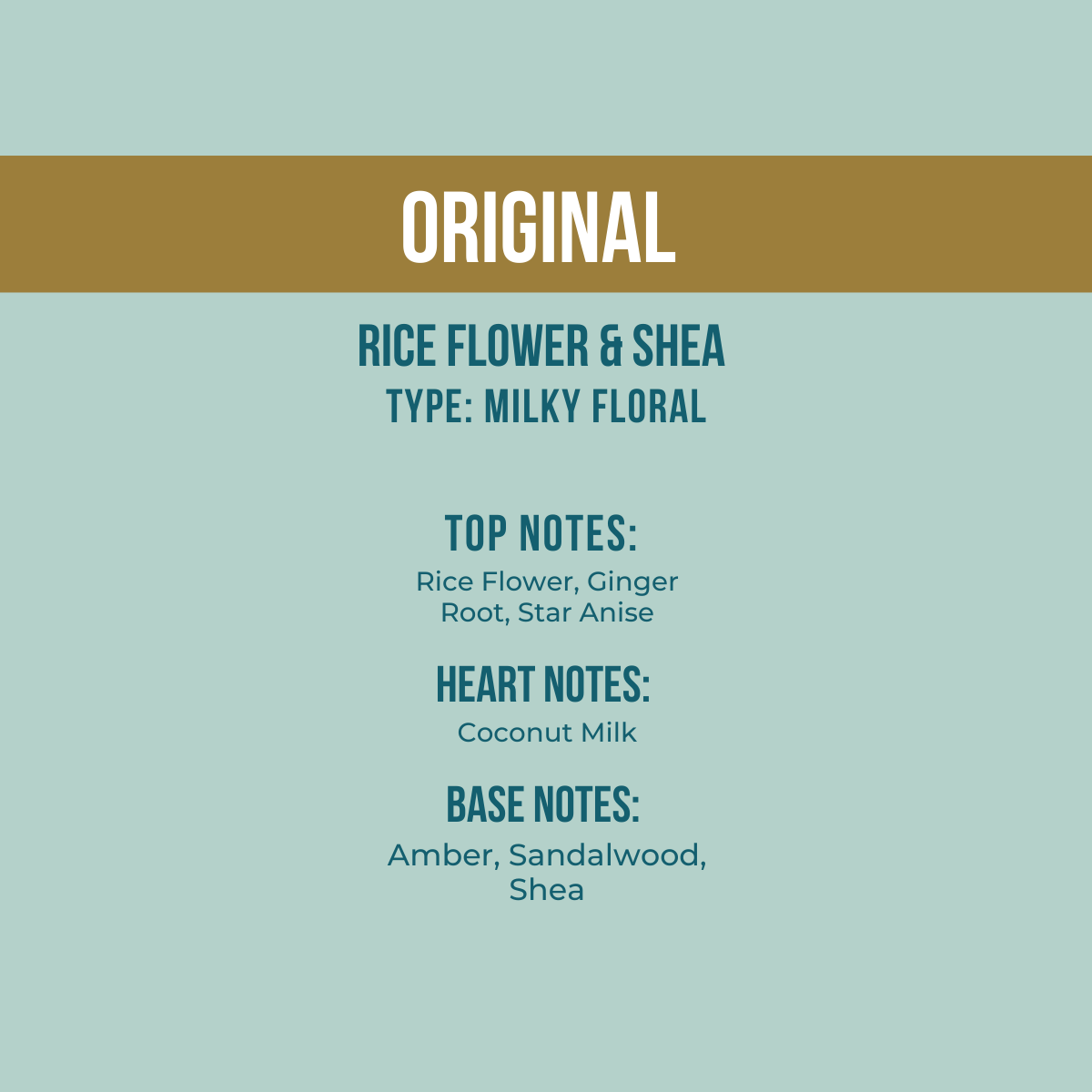 GLAZE | Dry Oil Blend for Body