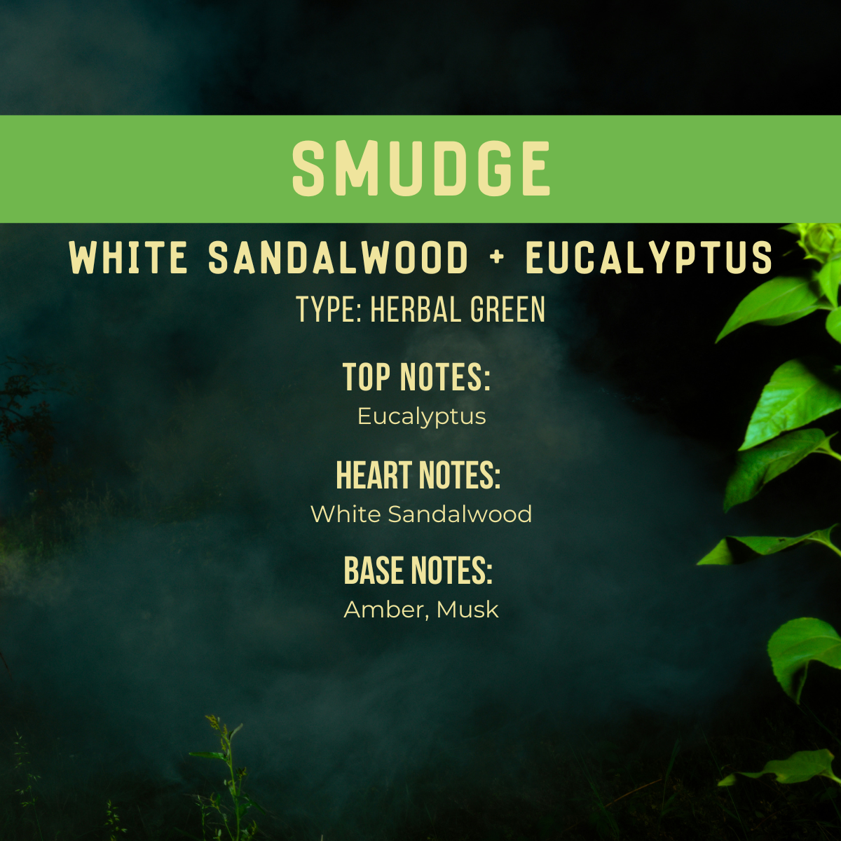 Ritual Botanica | Body Prayer Suite