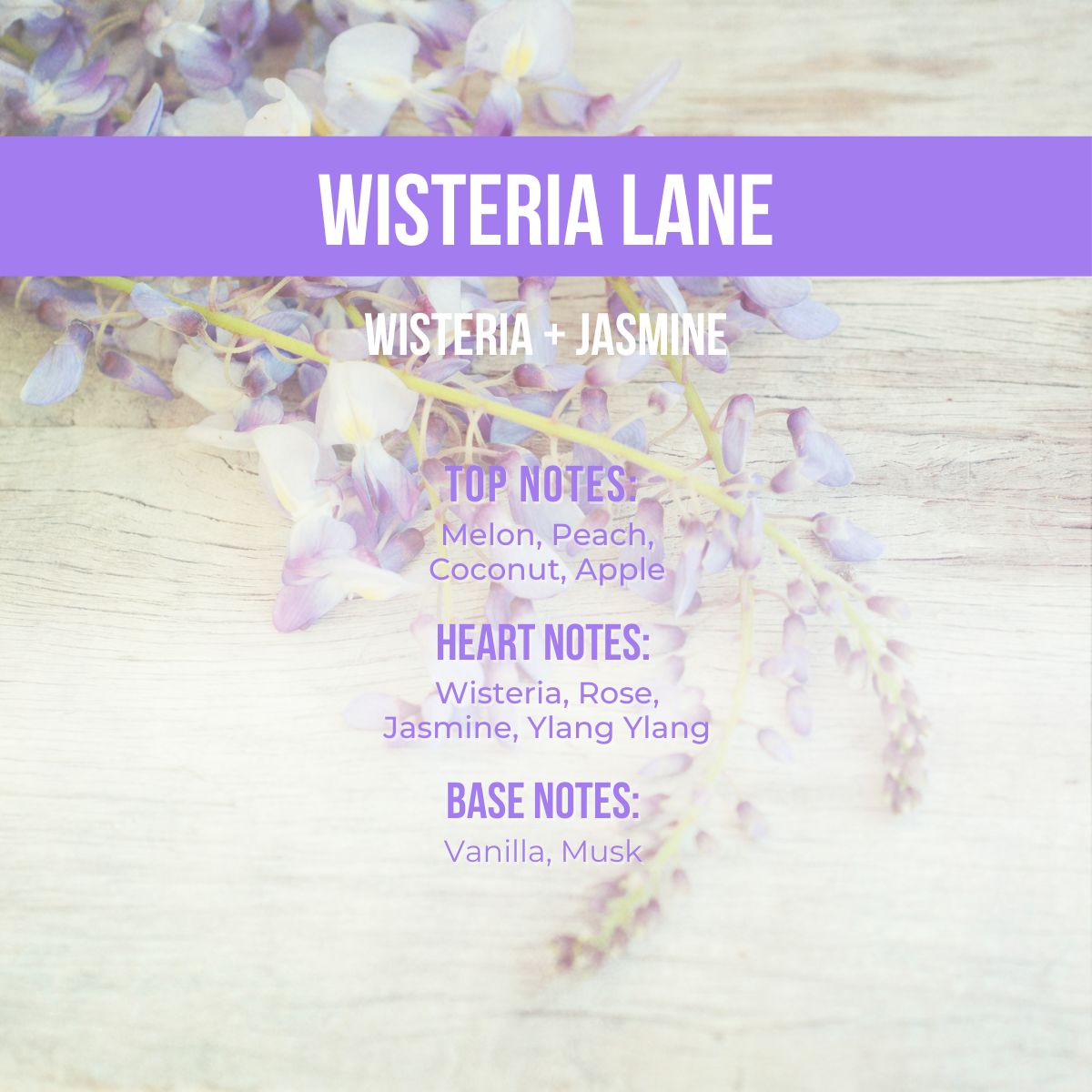 2026 Vault Glaze Dry Body Oil | Fresh & Floral