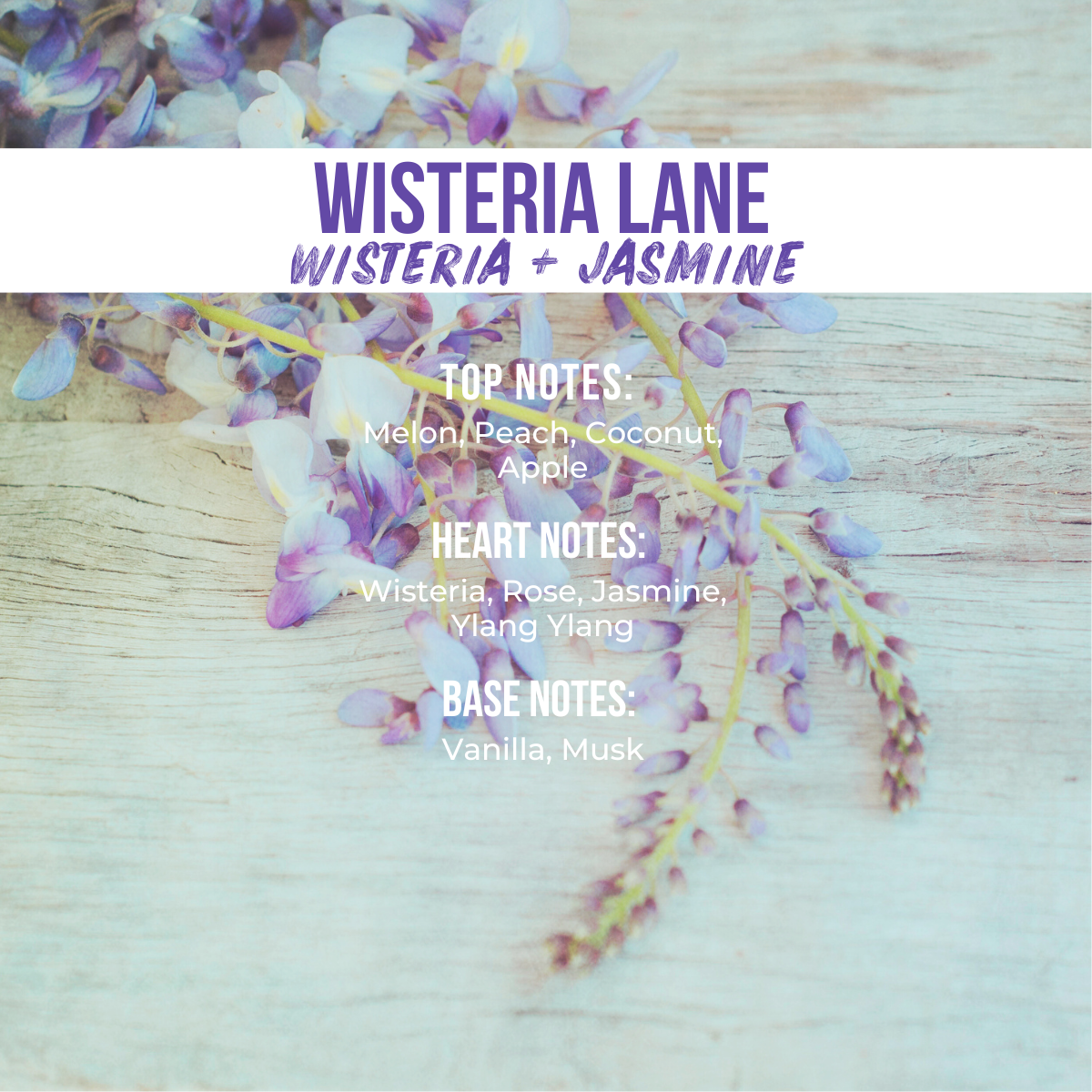 Haus Urban X: Mini Glaze Set