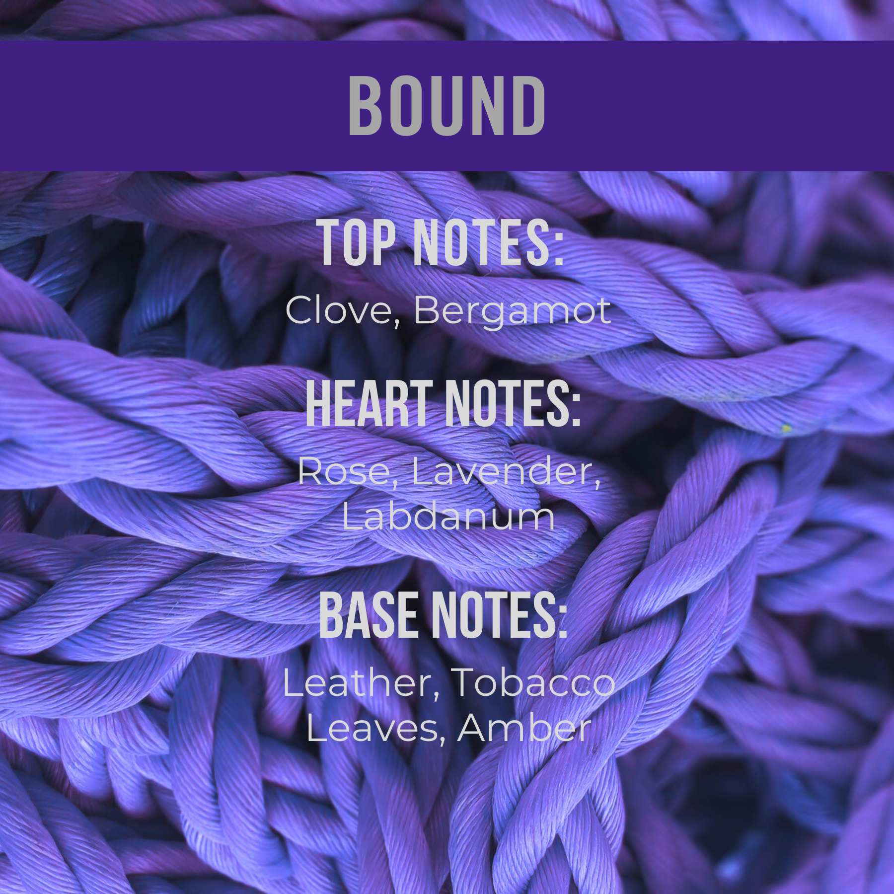 Bound Glaze Dry Body Oil (8 oz) | Leather + Labdanum