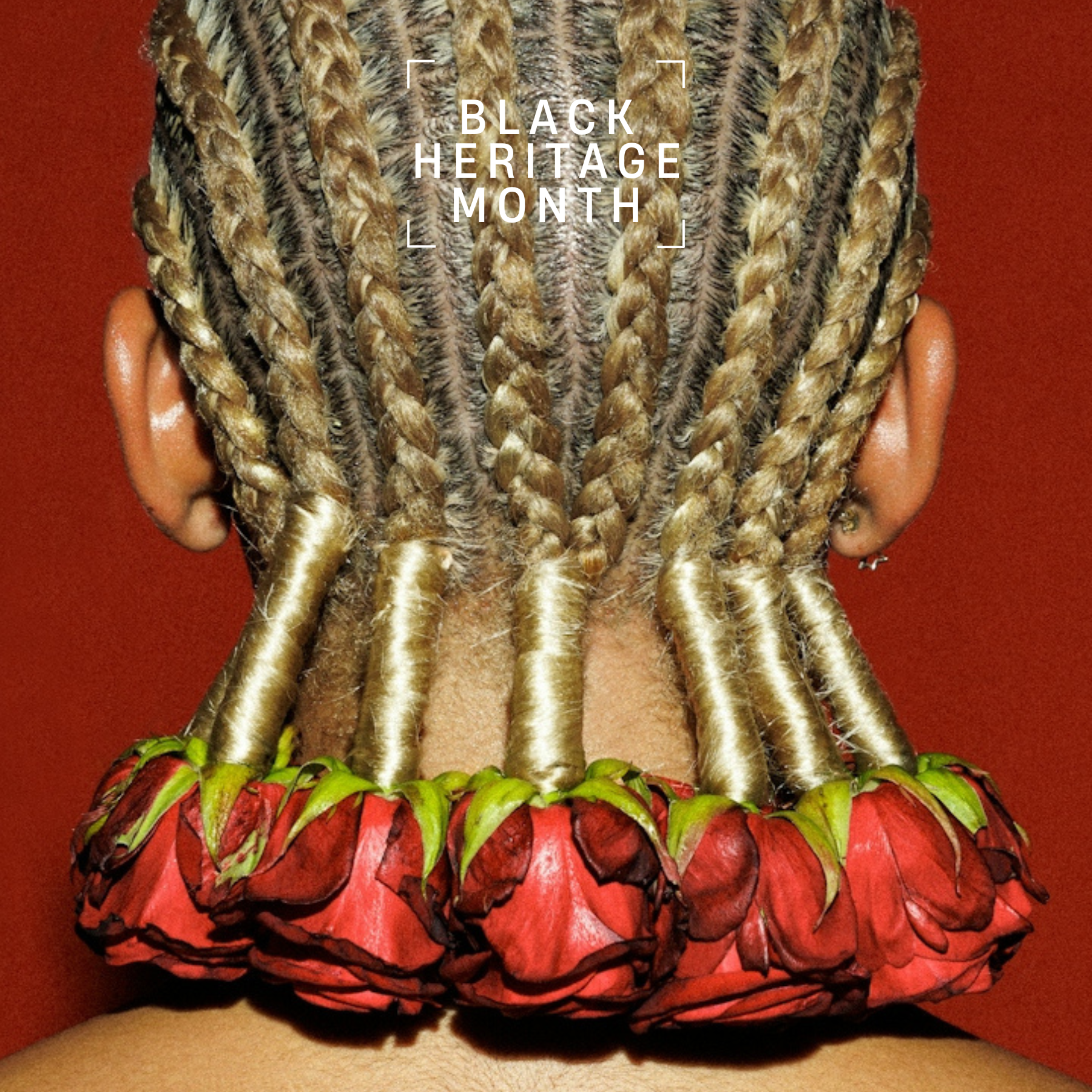 Black Excellence Collection